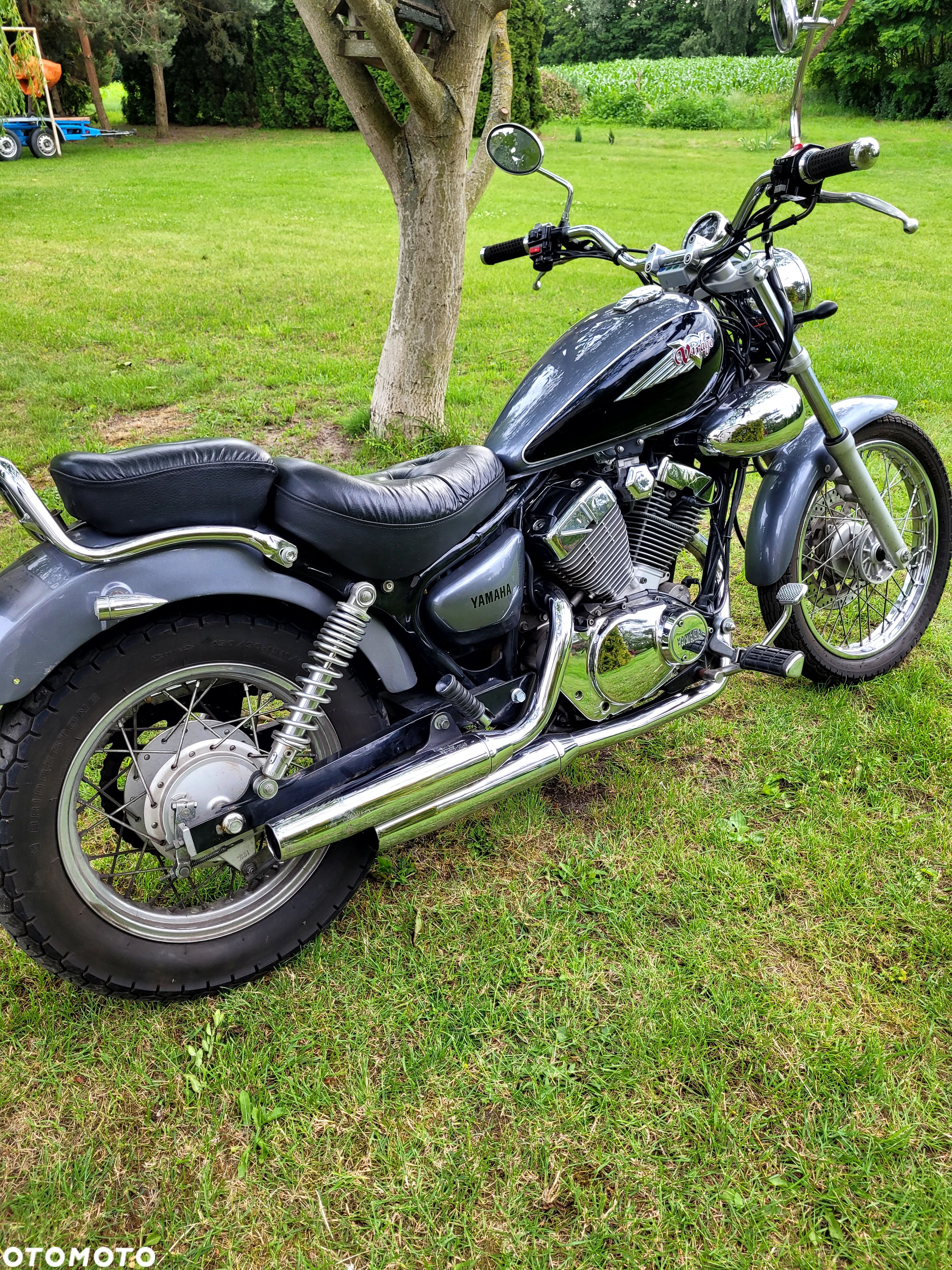 Yamaha Virago - 1