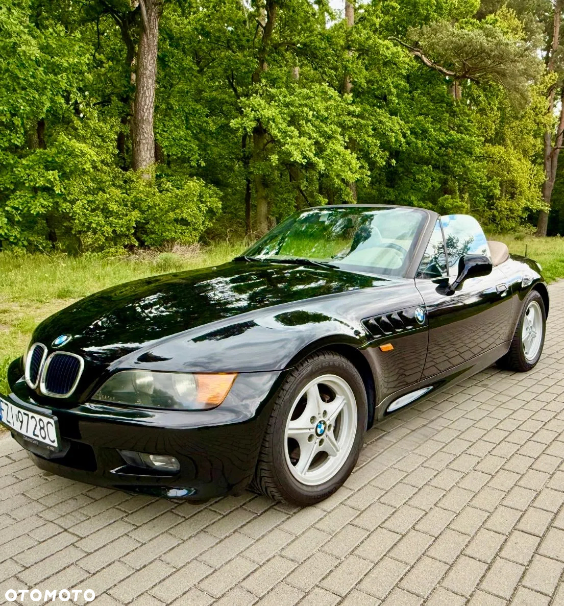 BMW Z3 1.9 - 15
