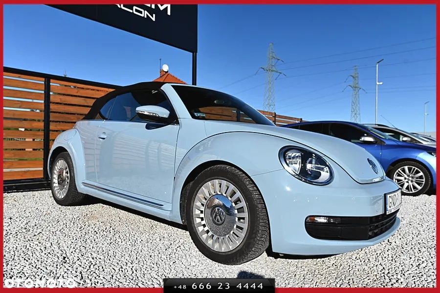 Volkswagen Beetle - 7
