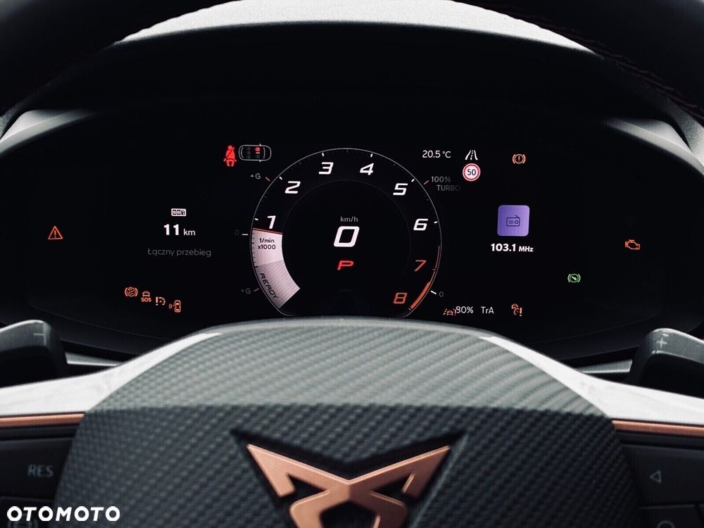 Cupra Terramar - 16