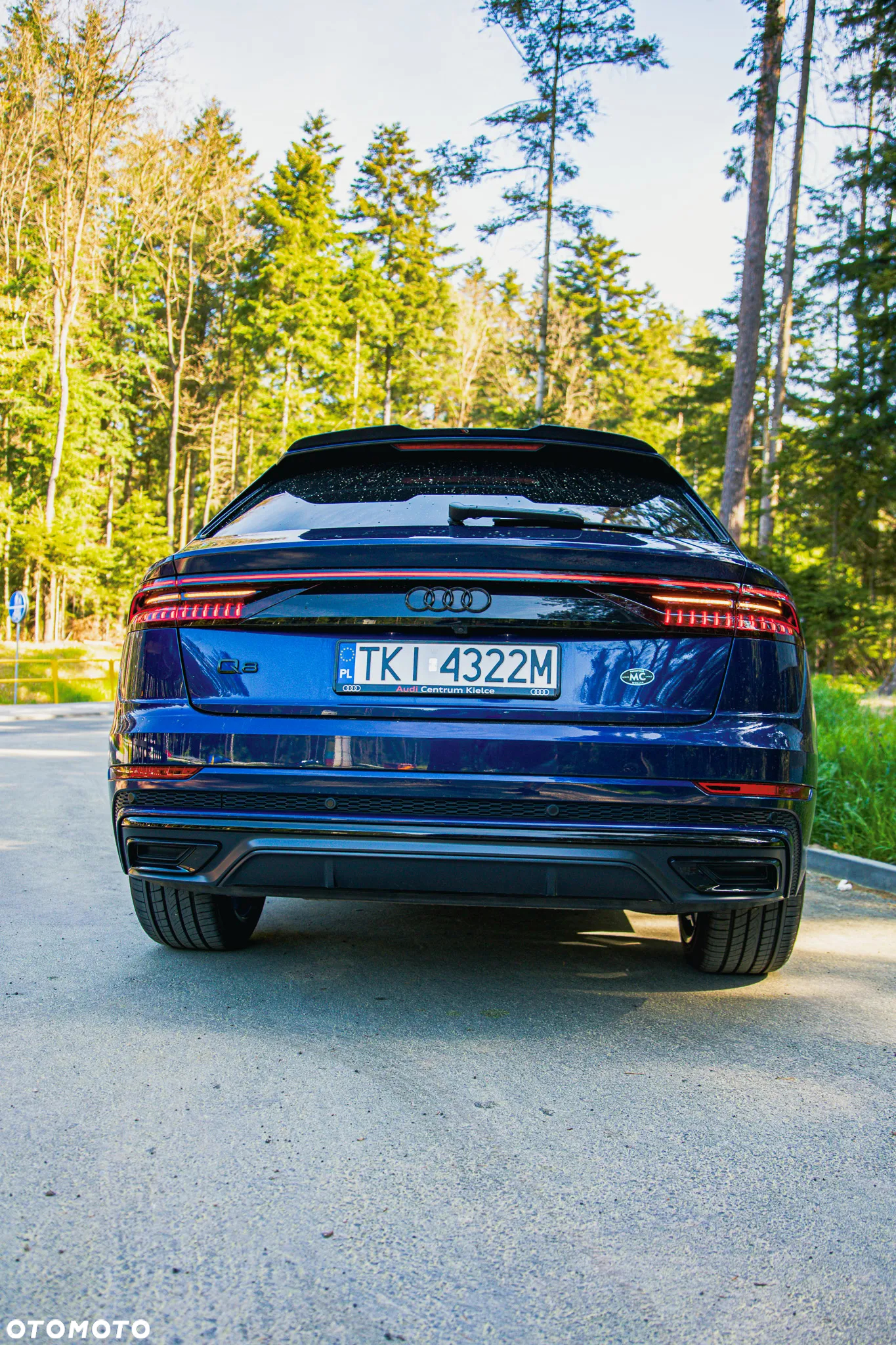 Audi Q8 - 14
