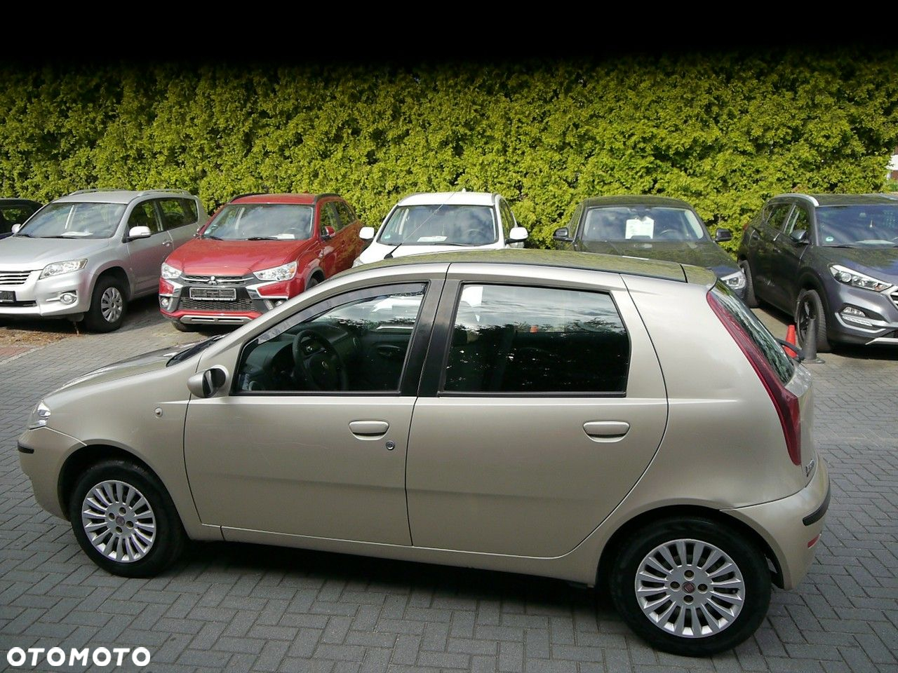 Fiat Punto - 12