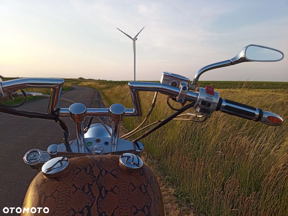 Honda Shadow - 6