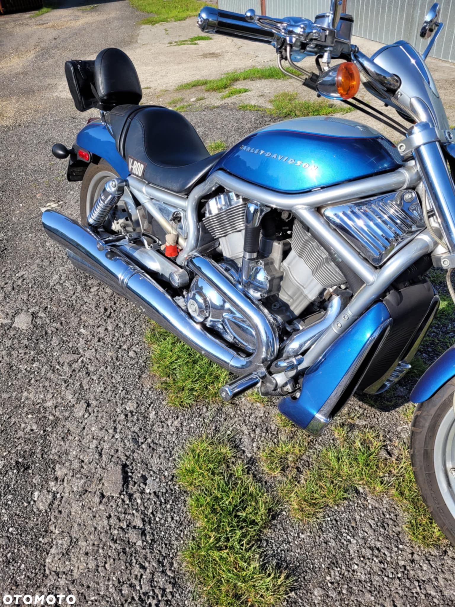 Harley-Davidson V-Rod Street Rod - 6