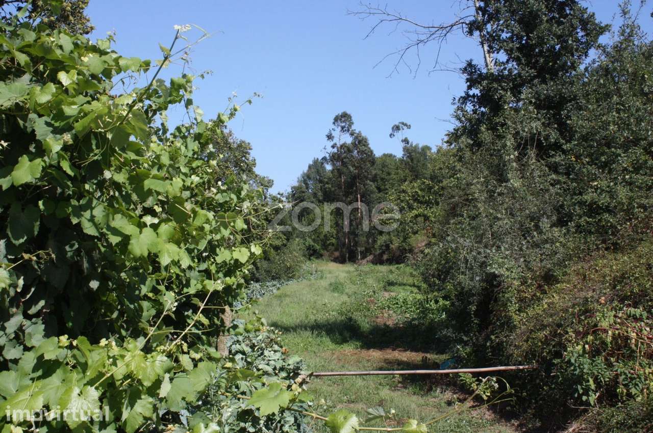 Terreno junto ao rio Pele - Grande imagem: 5/15