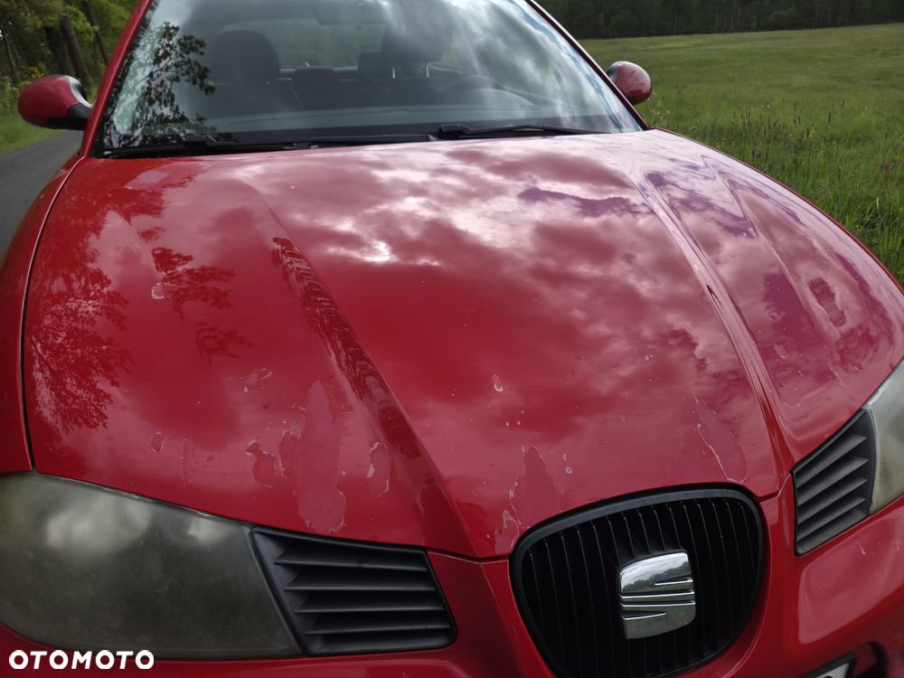 Seat Ibiza - 10