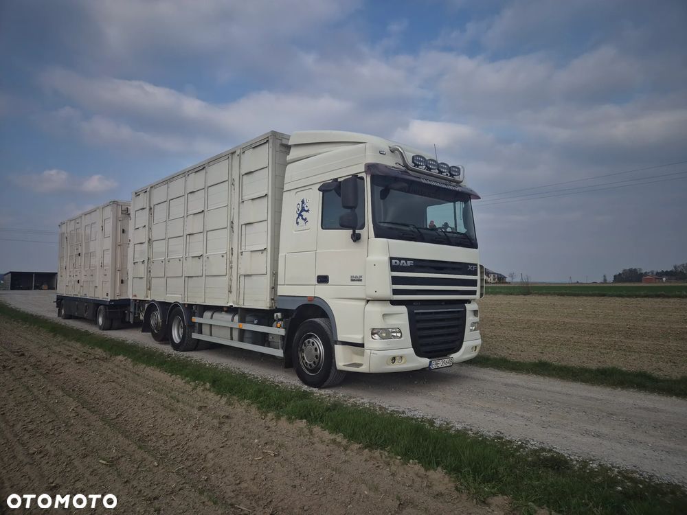 DAF XF 105 460KM - 1