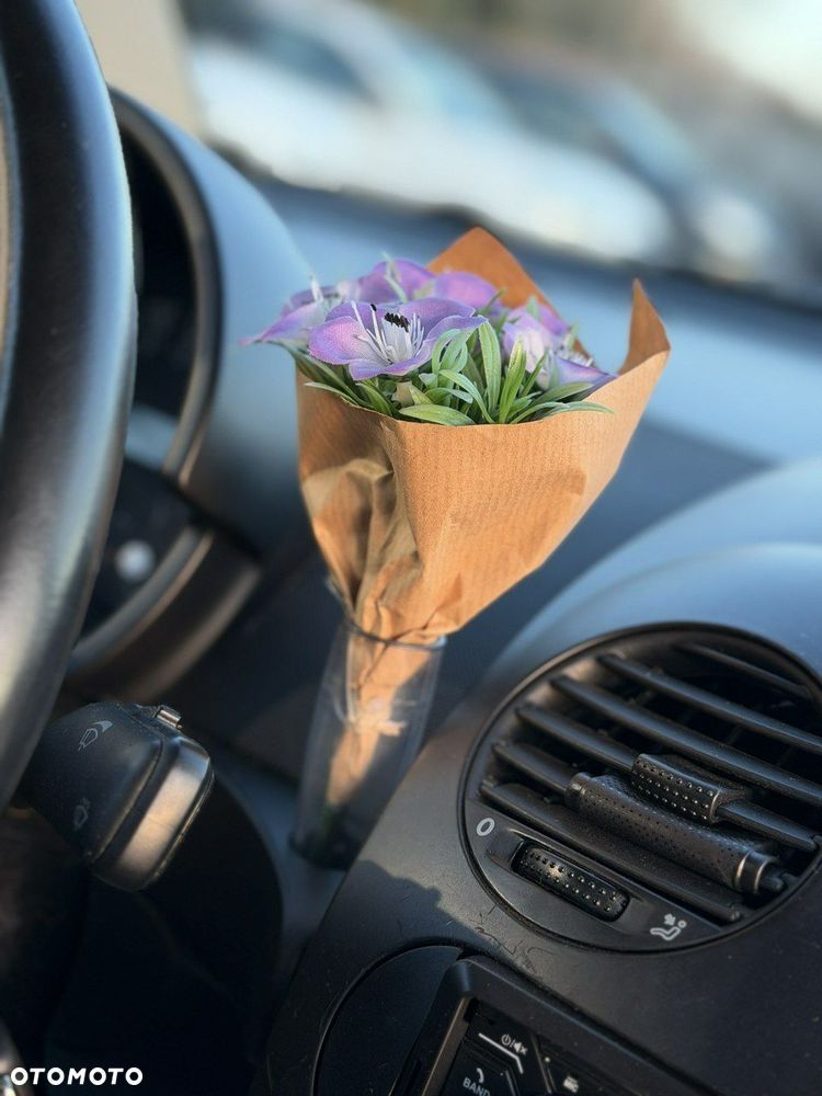 Volkswagen New Beetle 1.9 TDI Miami - 28