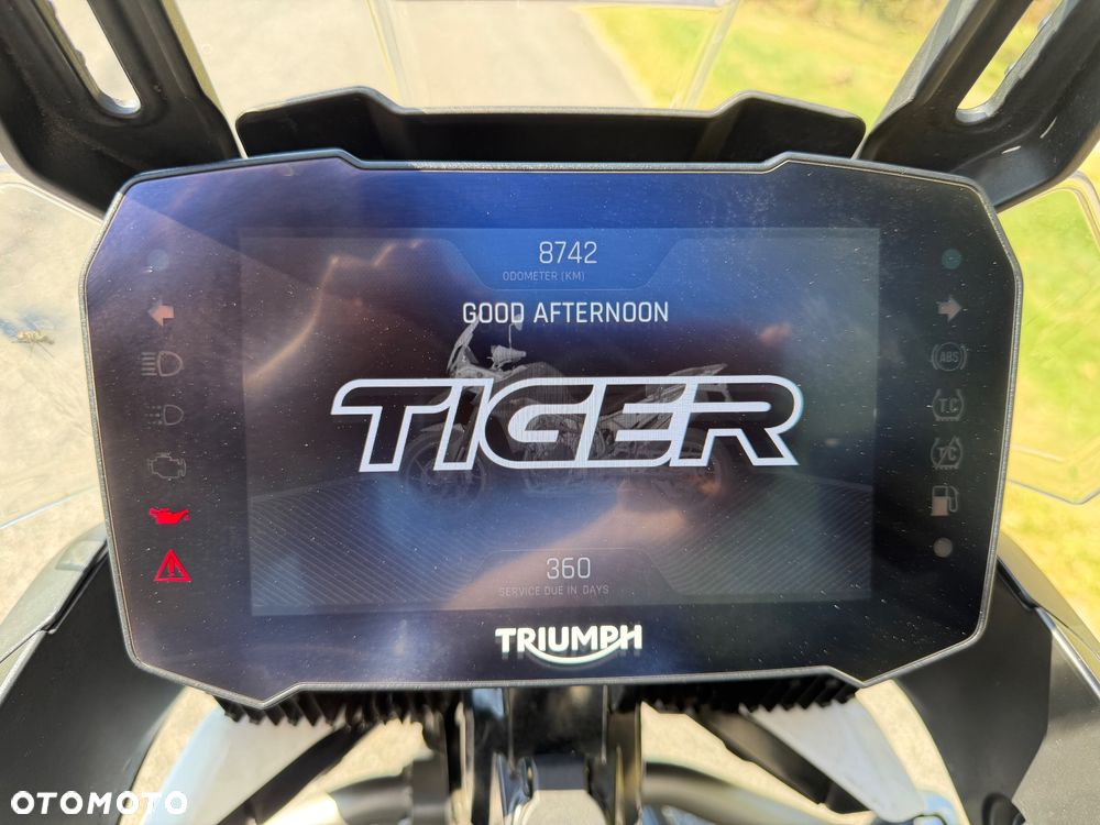 Triumph Tiger - 9