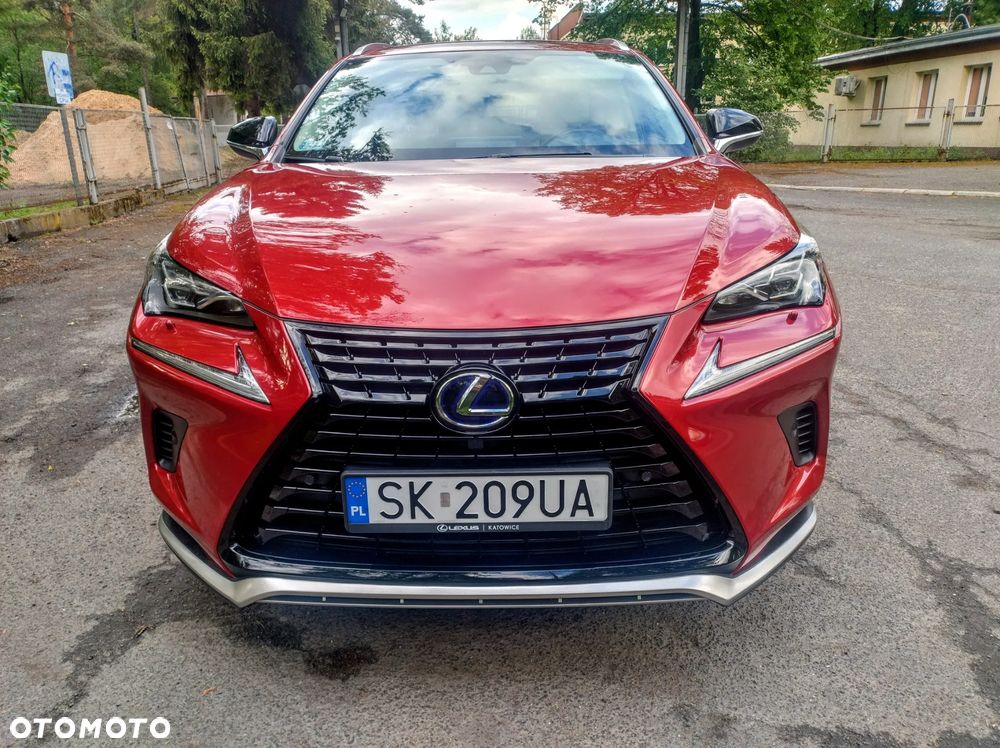 Lexus NX 300h F Impression AWD - 4