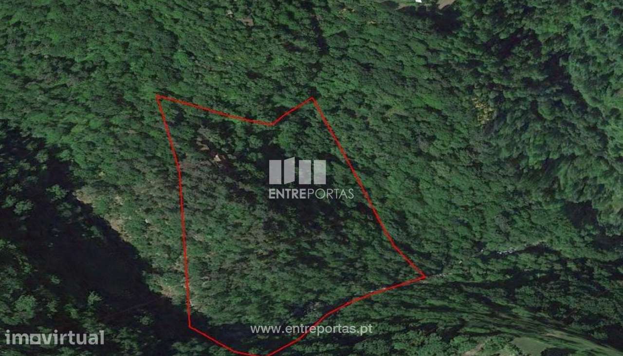 Venda Propriedade, Tendais, Cinfães - Grande imagem: 5/9