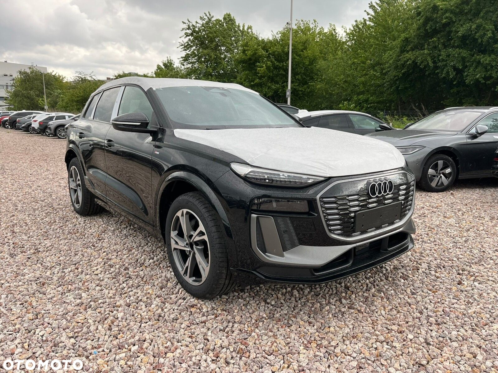 Audi Q6 - 8