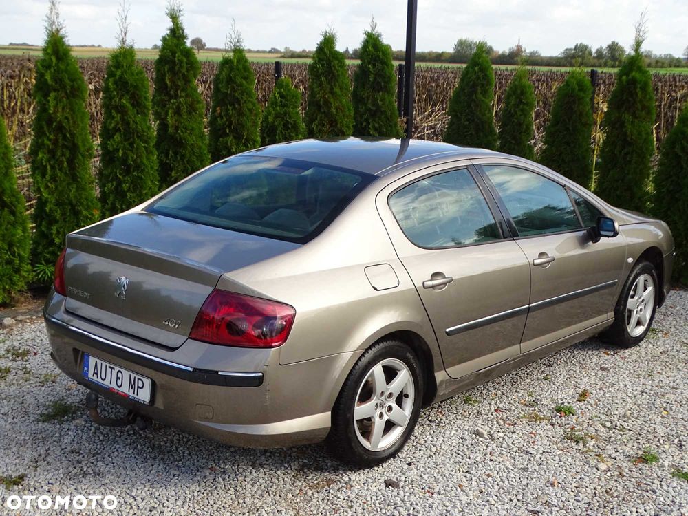 Peugeot 407 - 4