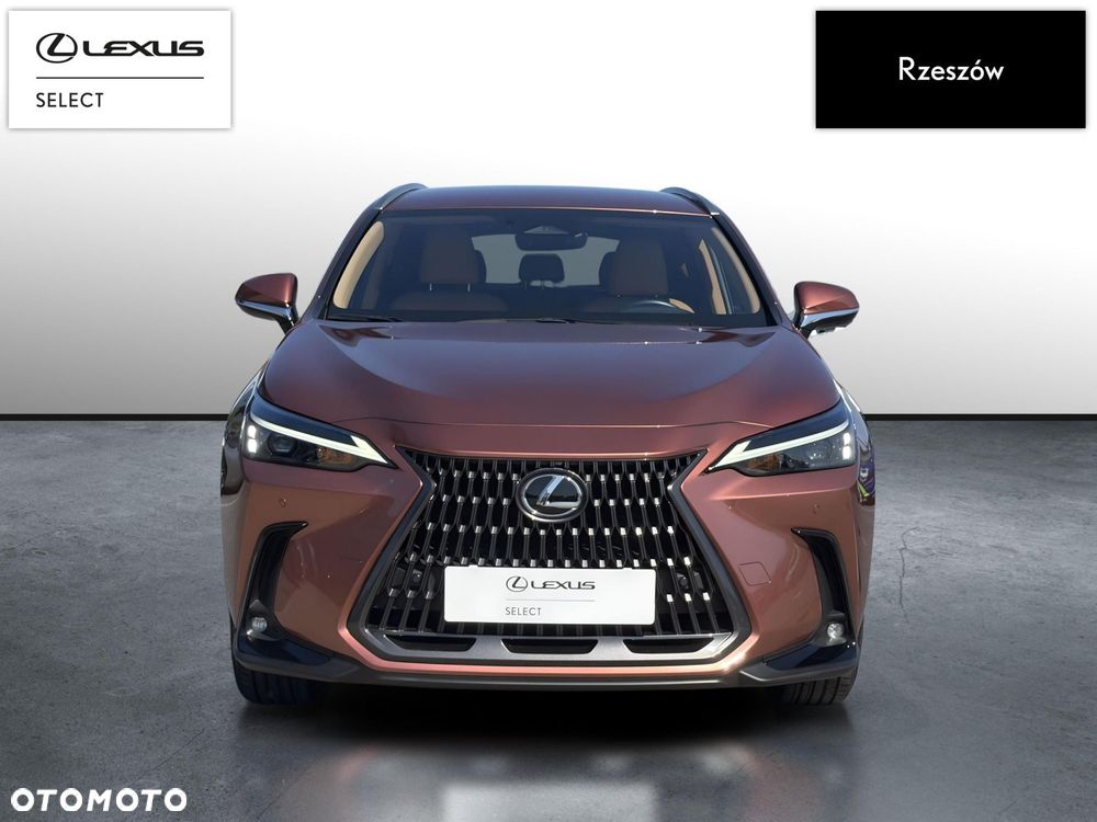 Lexus NX 350h Prestige AWD - 8