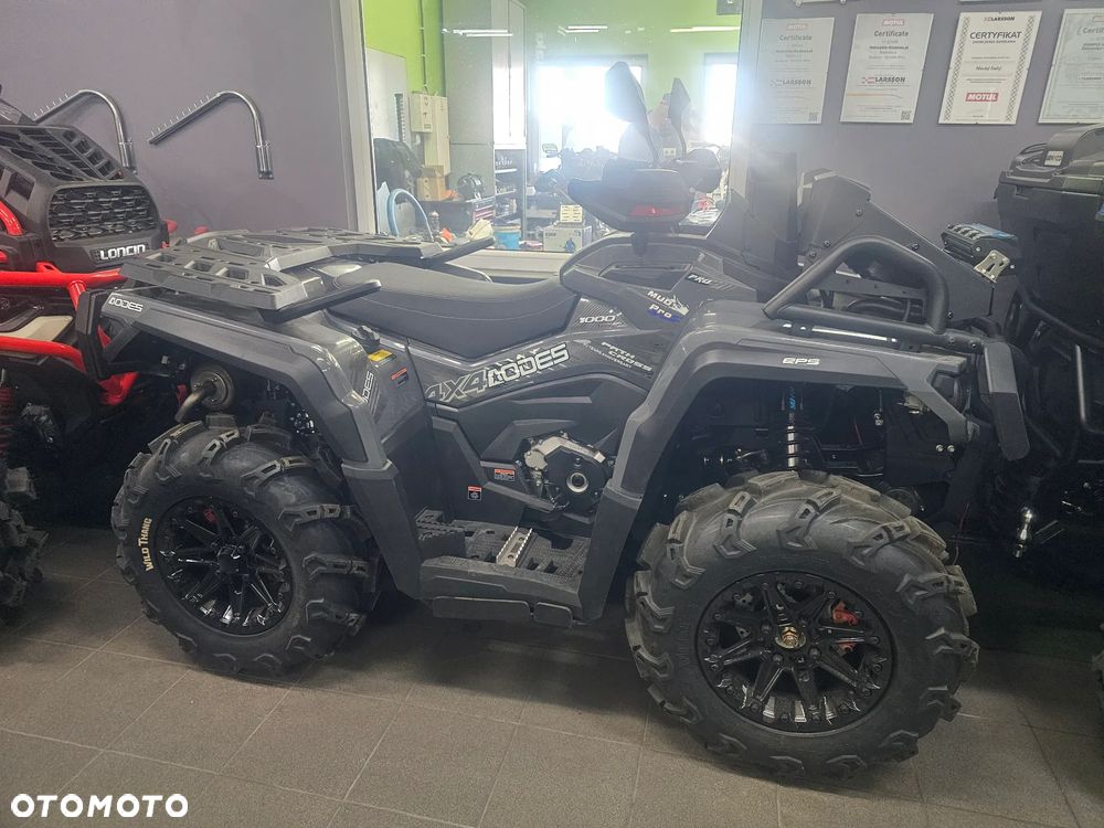 HISUN Guardian 750 - 4