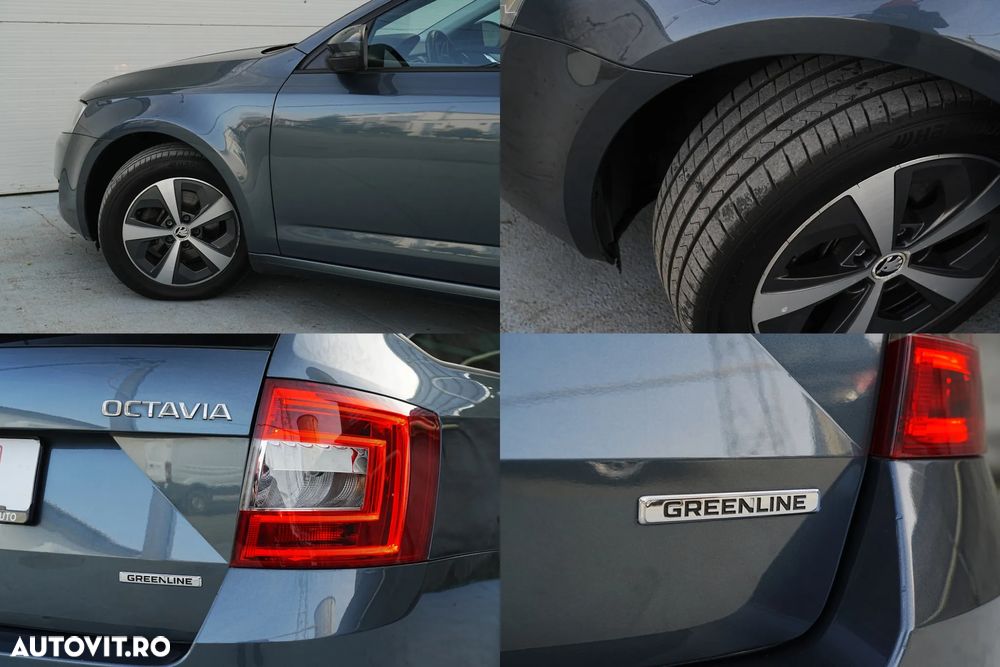 Skoda Octavia 1.6 TDI (Green tec) Ambition - 14