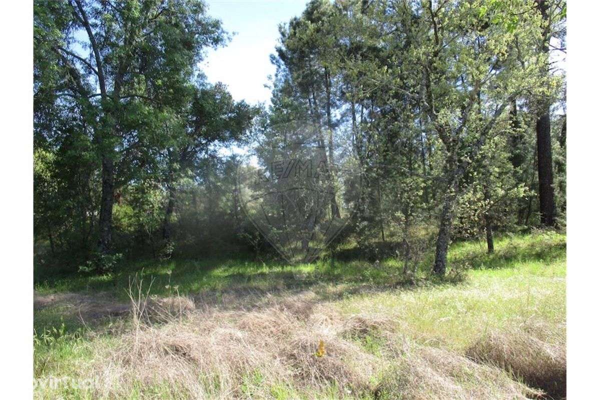 Quinta T0 para venda - Grande imagem: 5/9