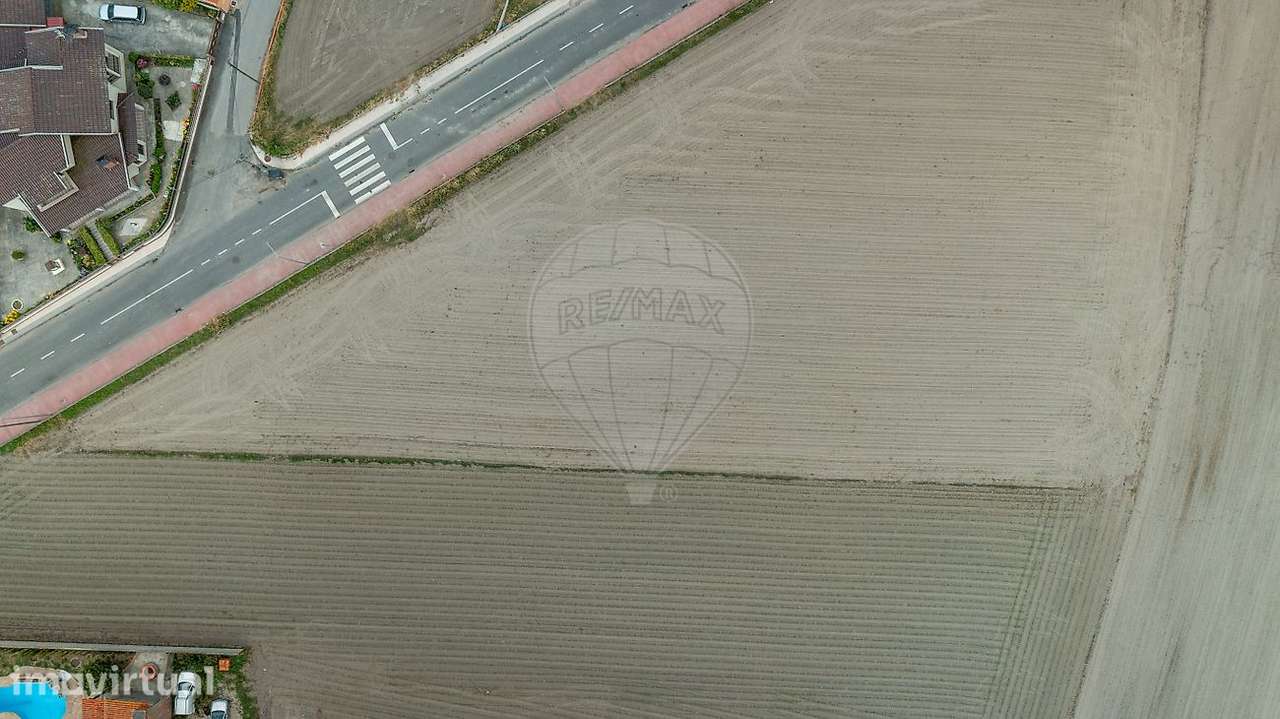 Terreno na Murtosa - Grande imagem: 5/5