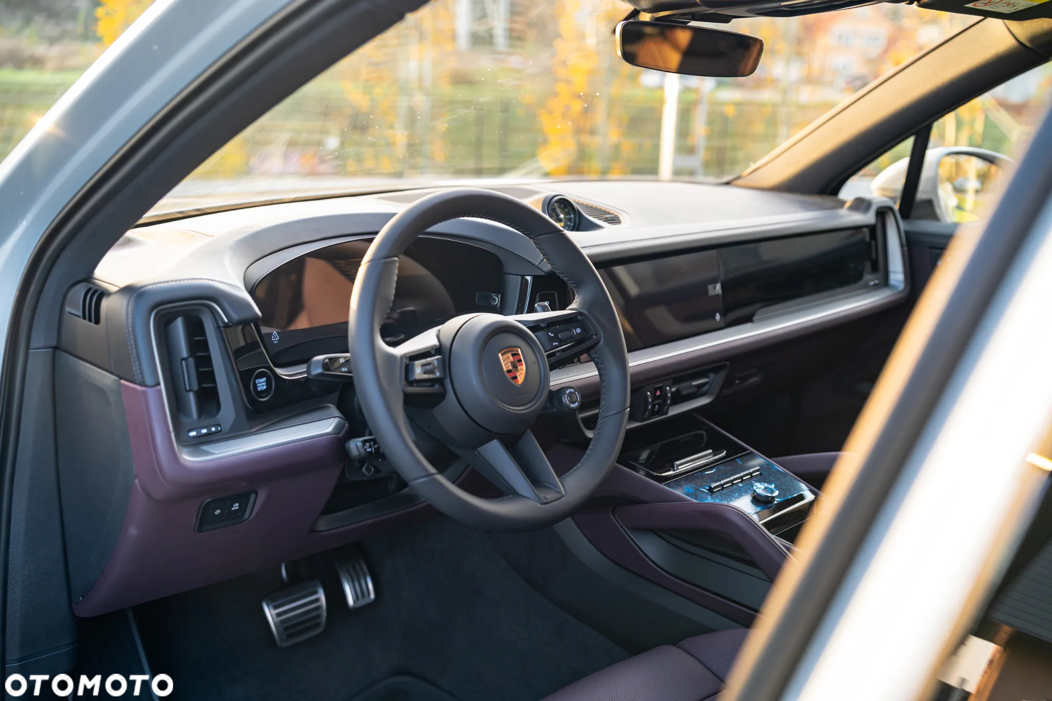 Porsche Cayenne S E-Hybrid PHEV - 8