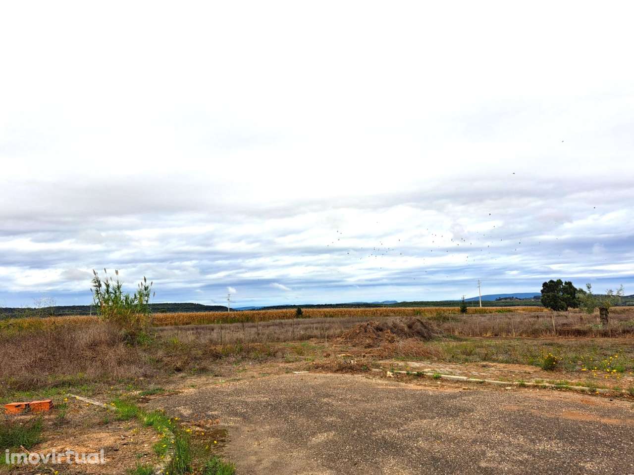 Lote Urbano - Moradia Isolada C/503 m2 - Grande imagem: 2/17