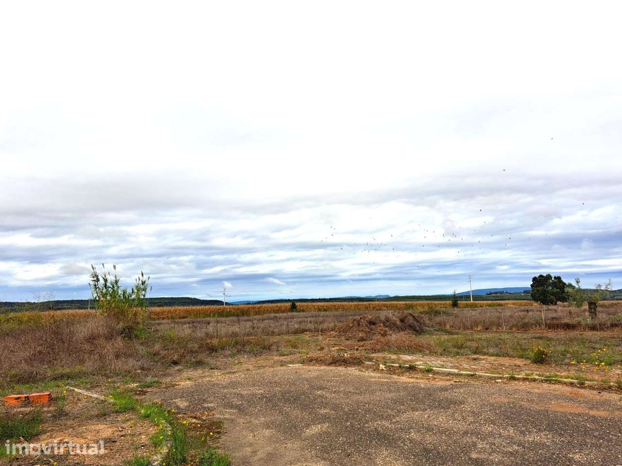 Lote Urbano - Moradia Geminada  C/346 m2 - Grande imagem: 3/17