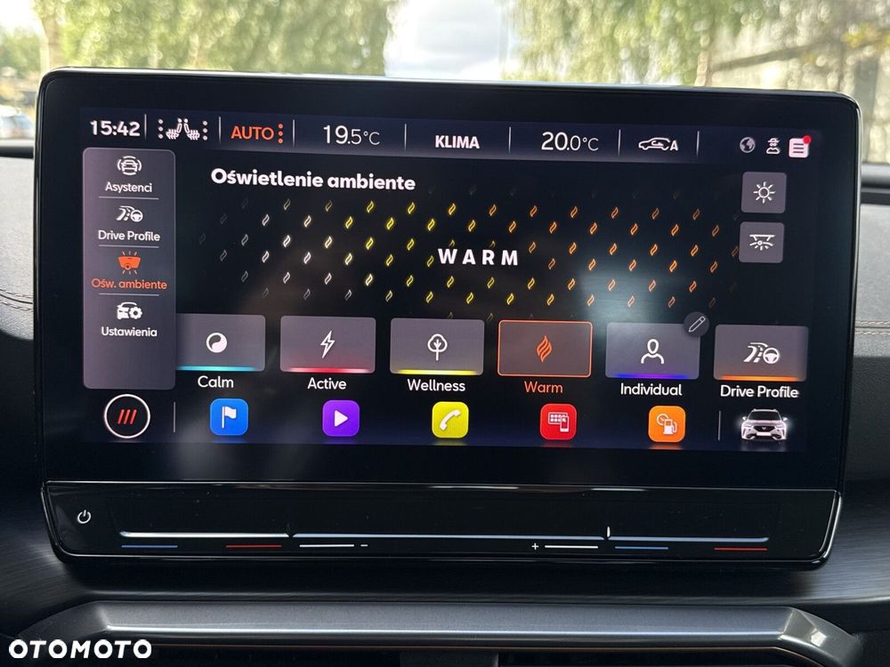 Cupra Formentor 1.5 TSI DSG - 30