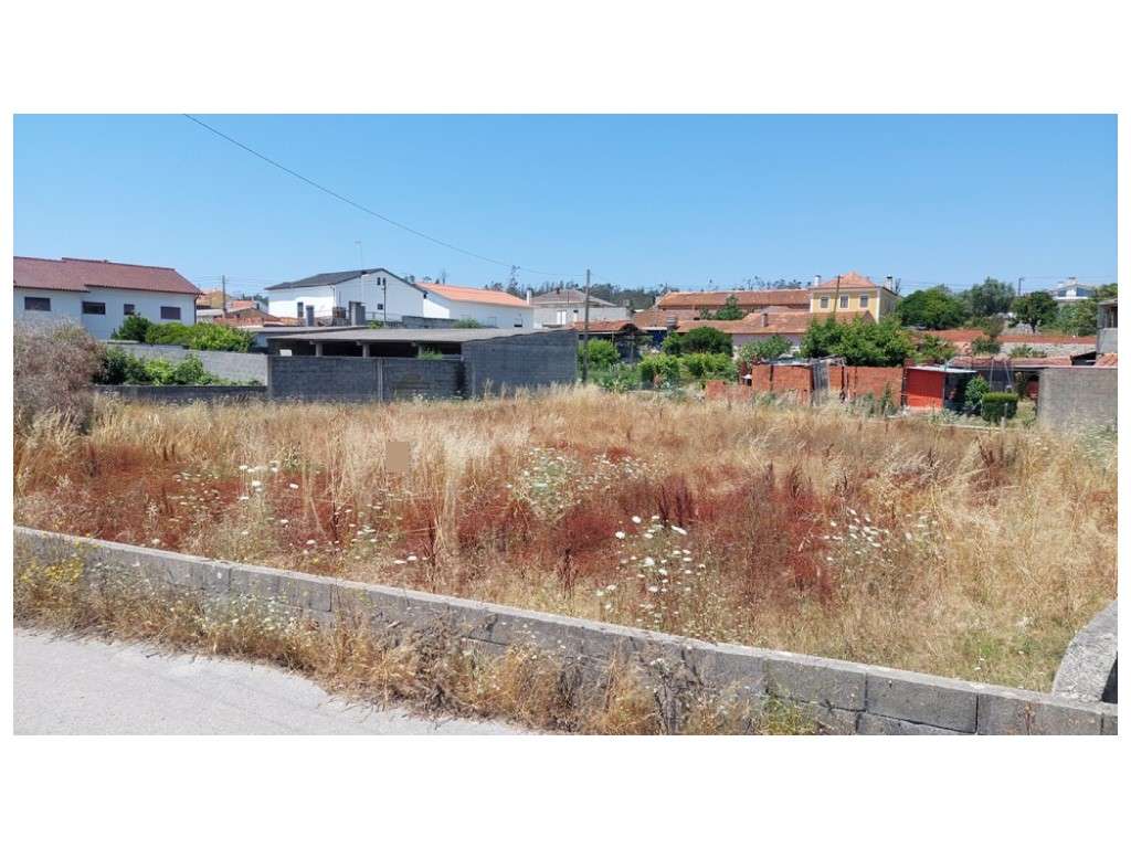Terreno para construção nas Várzeas - Souto da Carpalhosa - Grande imagem: 5/5
