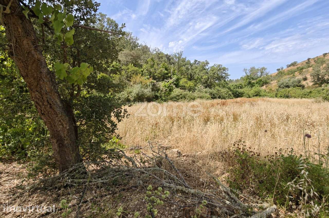 Quinta com moradia T2 inserida em terreno de 59.680 m² - Grande imagem: 3/35