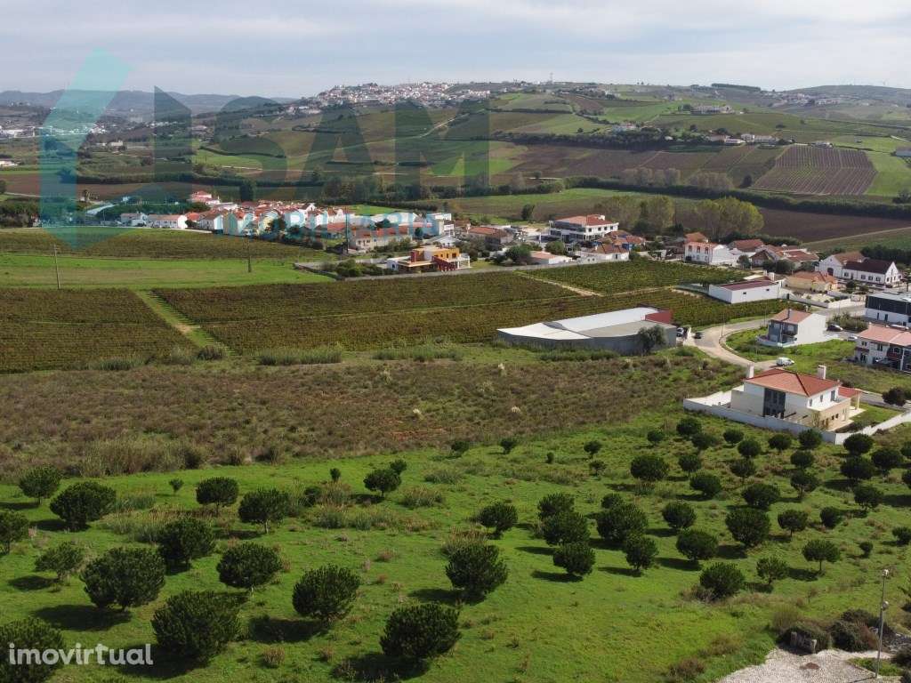 Lote Terreno - Grande imagem: 3/4