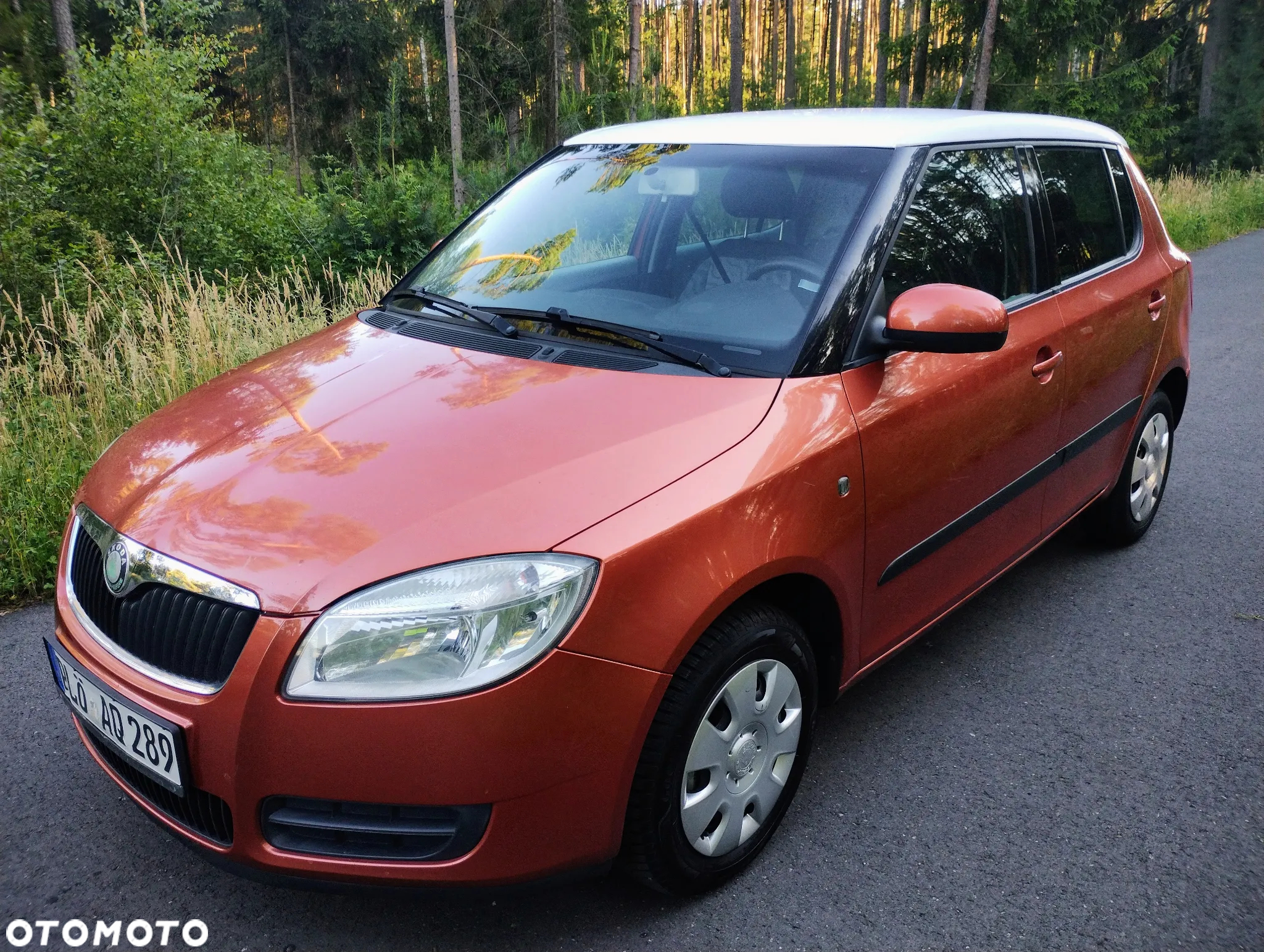 Skoda Fabia - 11