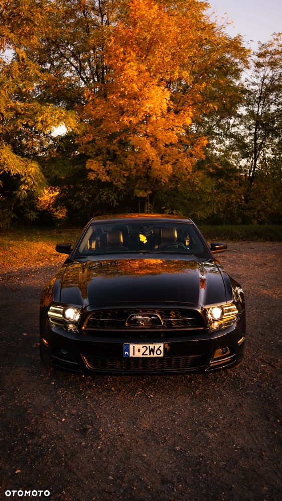 Ford Mustang 3.7 V6 Premium - 7