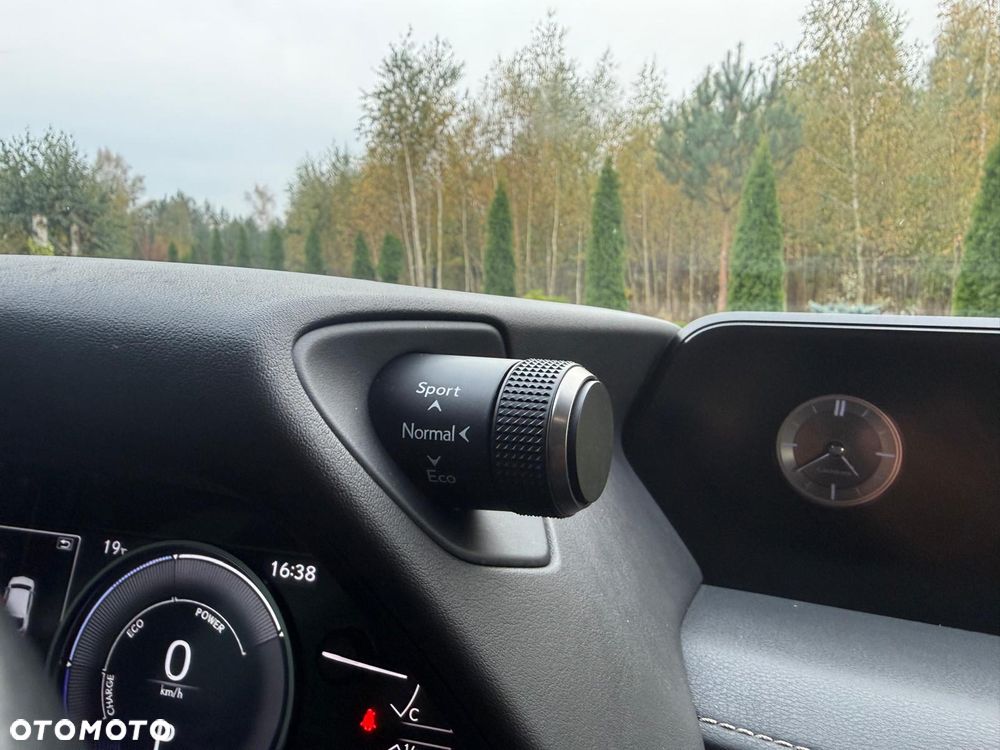 Lexus UX 250h Elegance 2WD - 24
