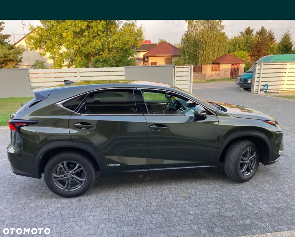 Lexus NX - 10