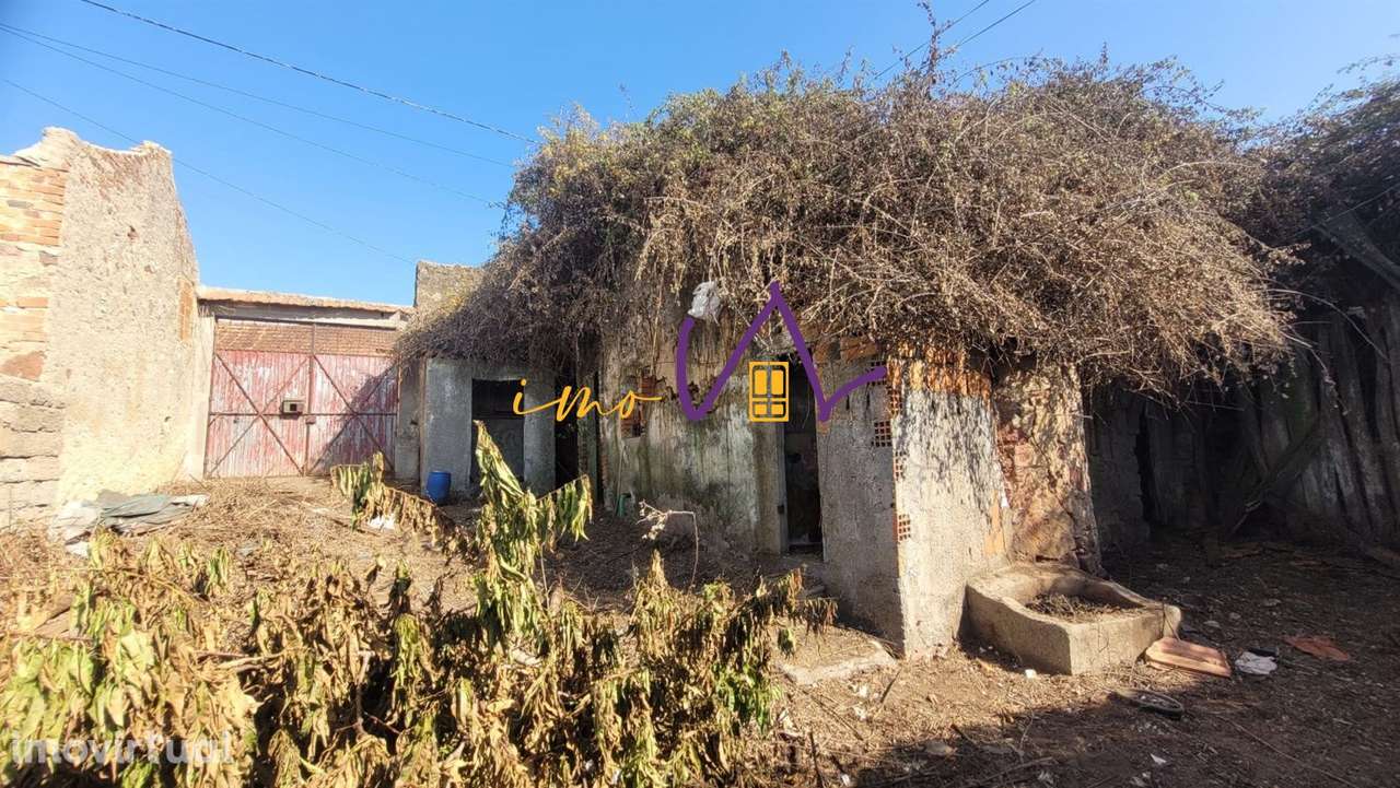Moradia para reconstruir na Vacariça - Grande imagem: 4/13