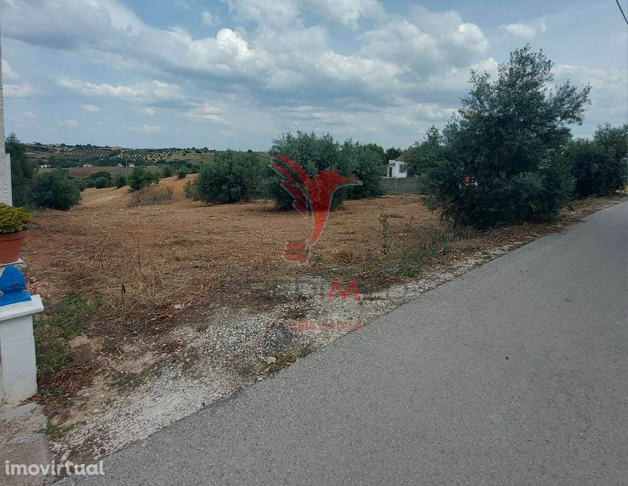 Terreno Rústico com viabilidade em Abitureiras, Santarém. - Grande imagem: 2/14