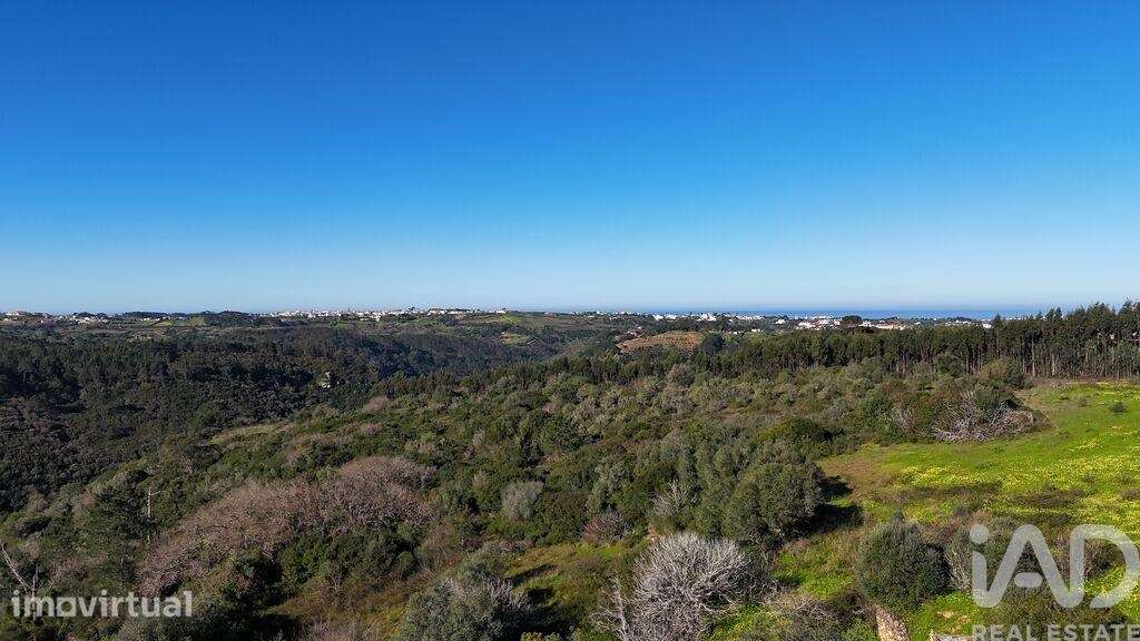 Terreno Agrícola em Mafra - Grande imagem: 3/27