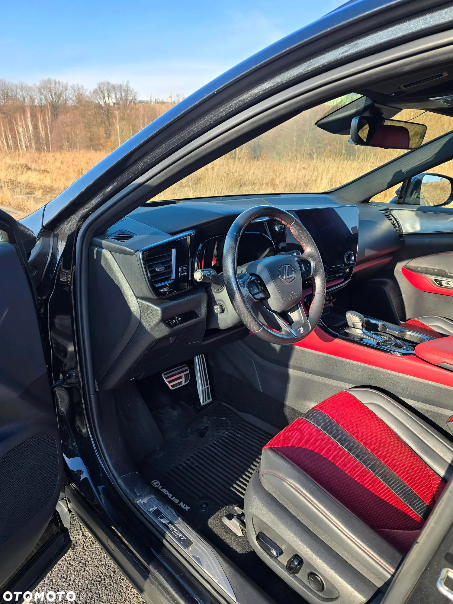 Lexus NX 350h F Sport AWD - 8