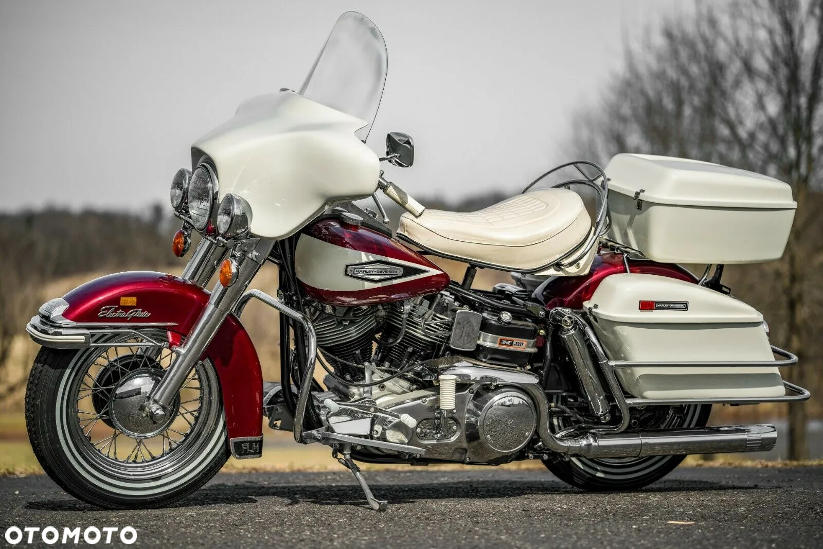 Harley-Davidson Touring Electra Glide - 2