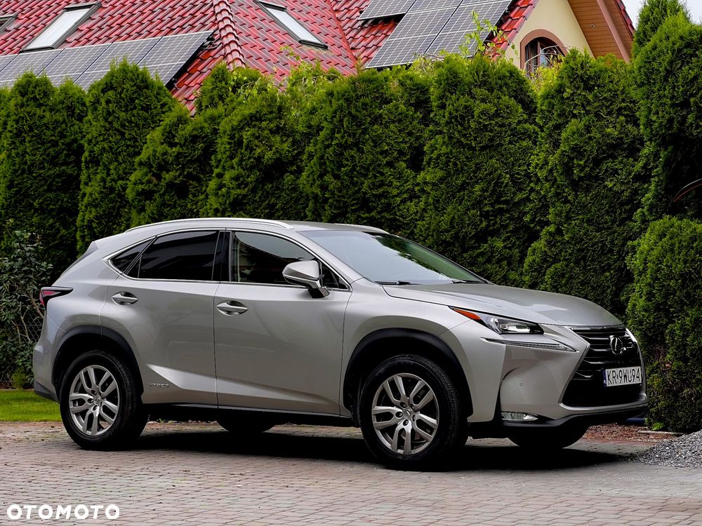 Lexus NX 300h Prestige AWD - 16
