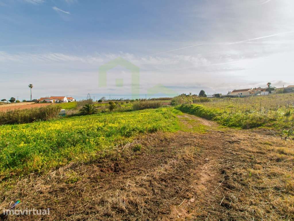 Vende Terreno - Ericeira 13 km, A Casa das Casas - Grande imagem: 3/13