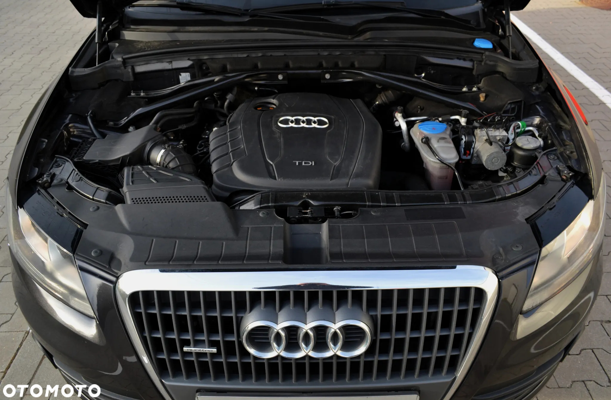 Audi Q5 - 37