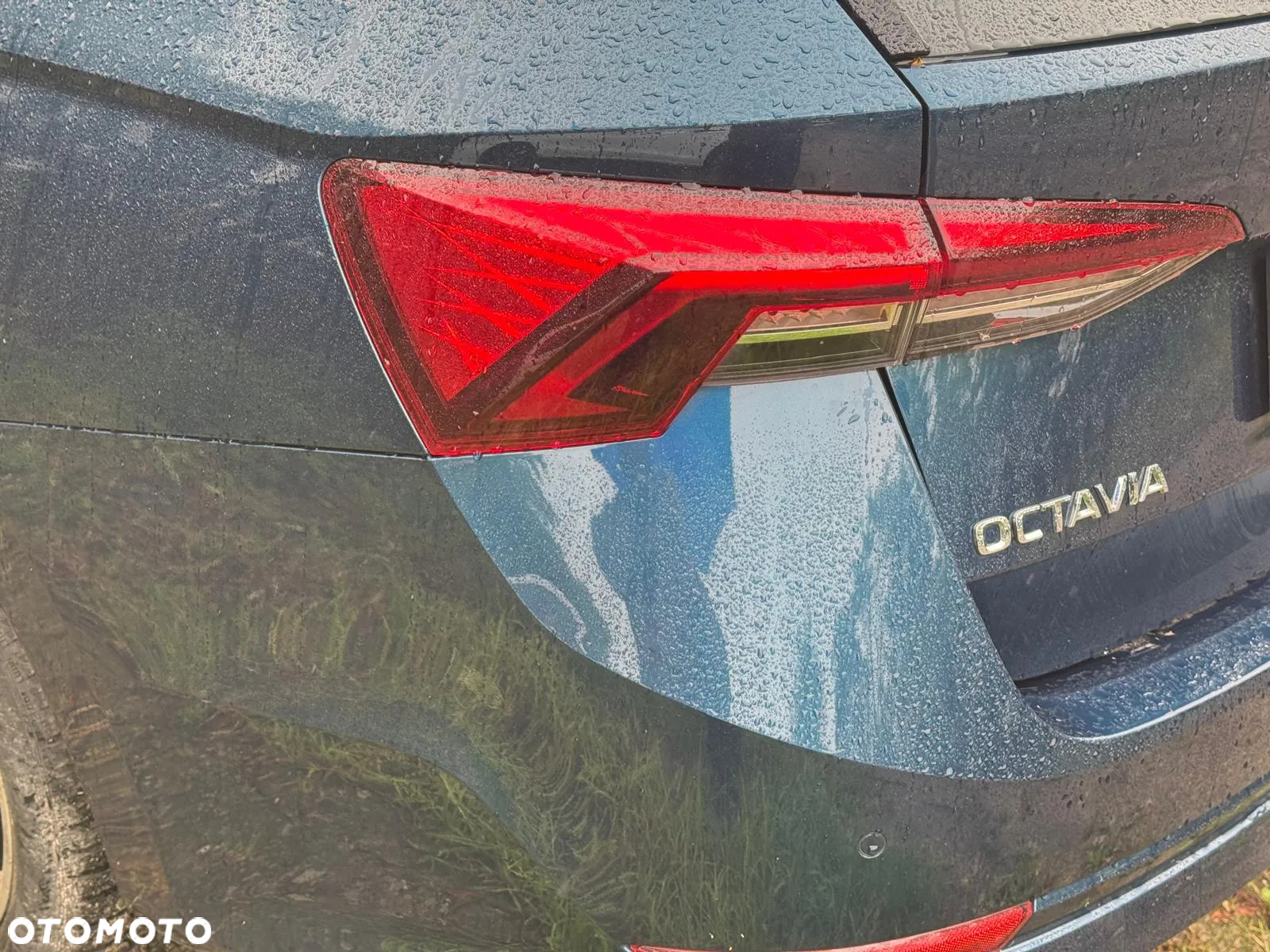 Skoda Octavia Combi 2.0 TDI DSG Ambition - 7