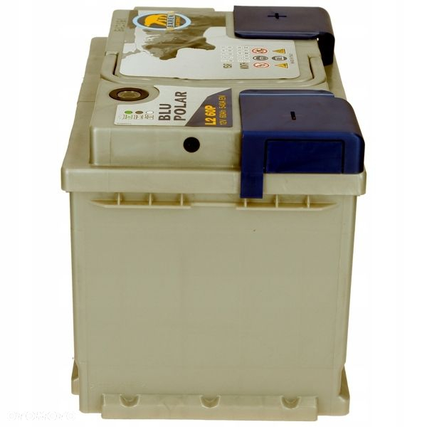 Akumulator Baren Blu Polar 12V 60Ah 540A P - 8