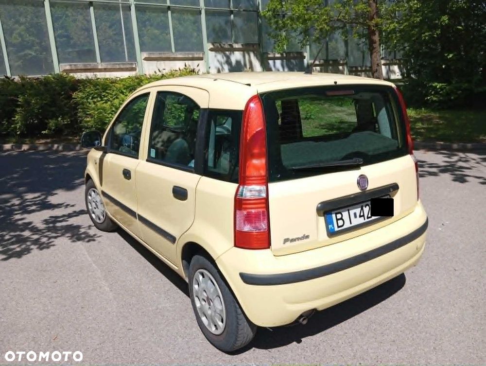 Fiat Panda - 2