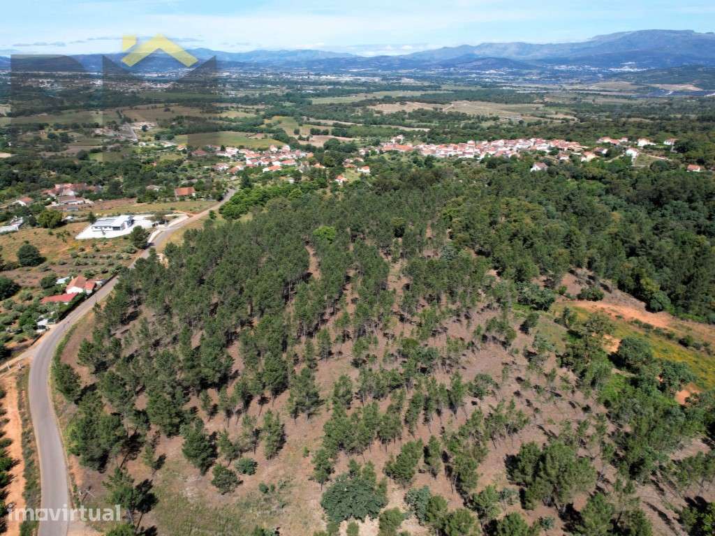 O Seu Próximo Grande Projeto Começa Aqui: 7.6 Hectares na Fatela co... - Grande imagem: 3/10