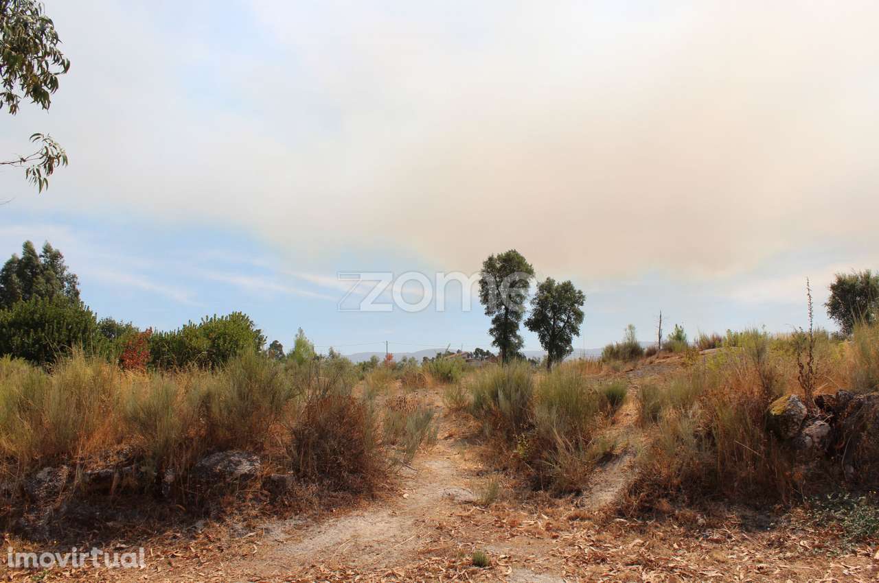 Terreno Rústico em Paranhos da Beira, Seia - Grande imagem: 4/10