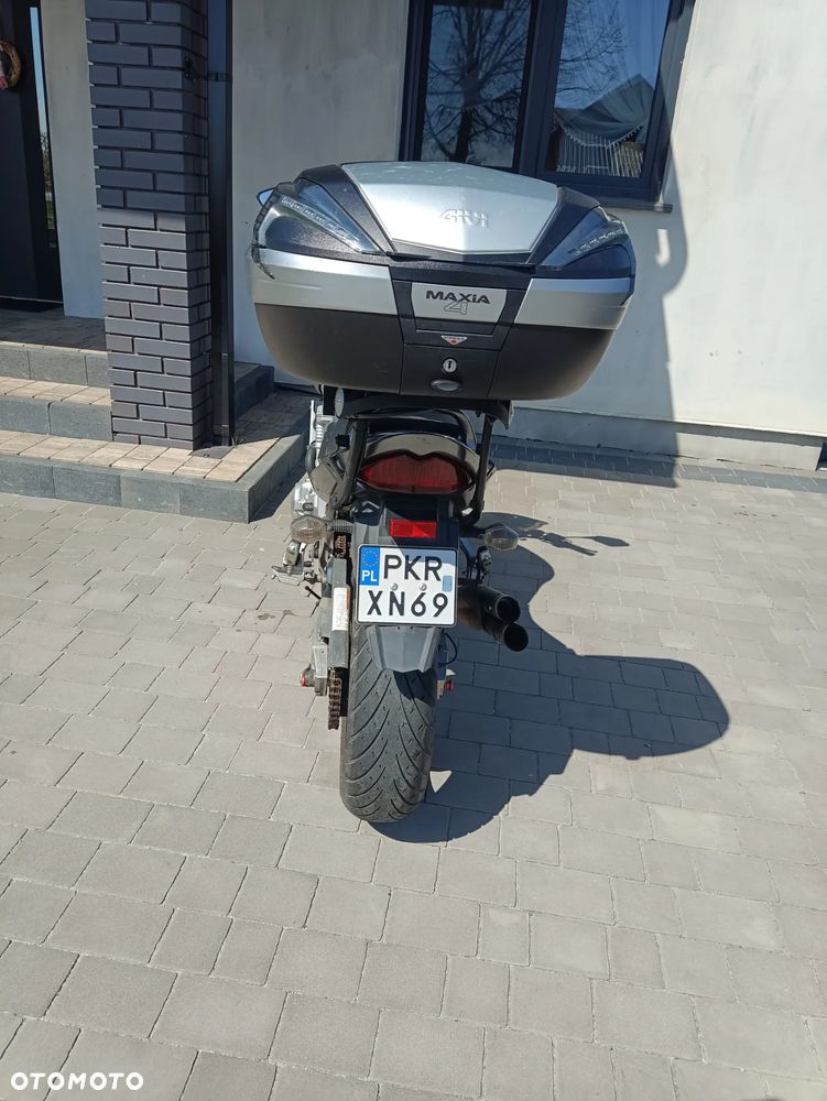 Suzuki Bandit - 5