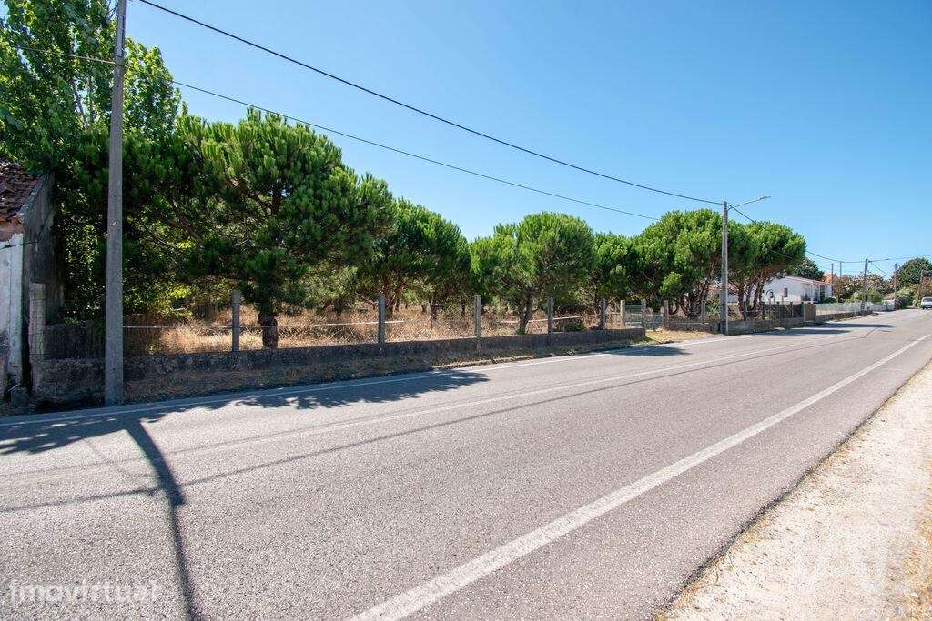 Terreno para construção em Marinha Grande - Grande imagem: 3/5