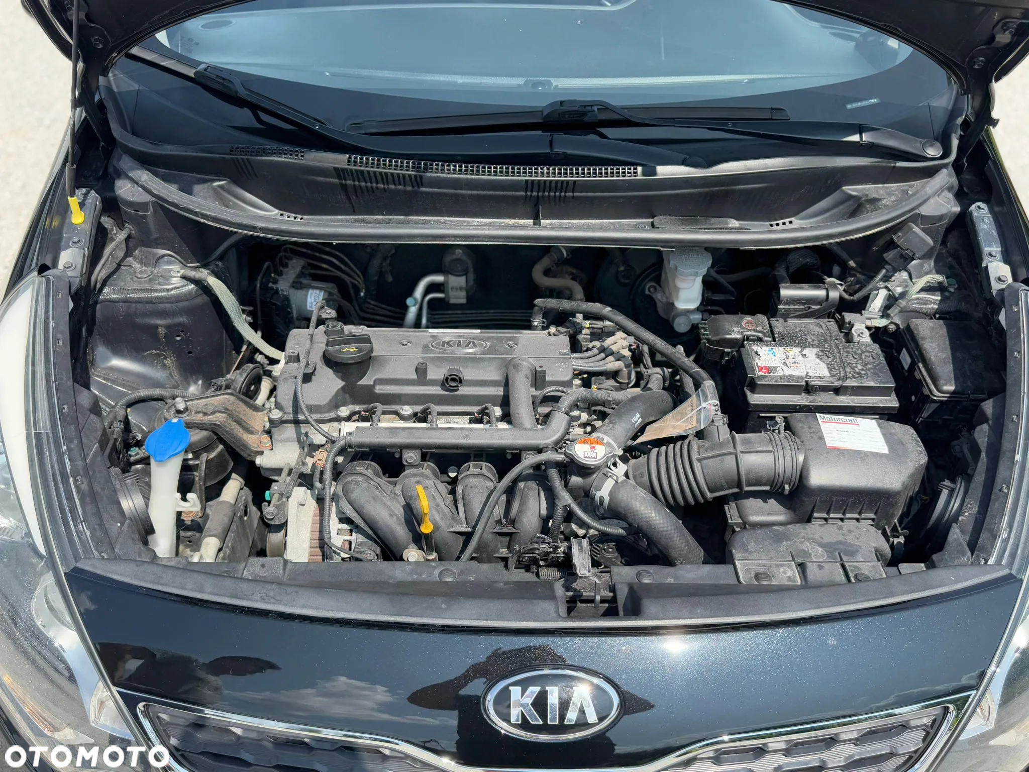 Kia Rio 1.2 M - 24