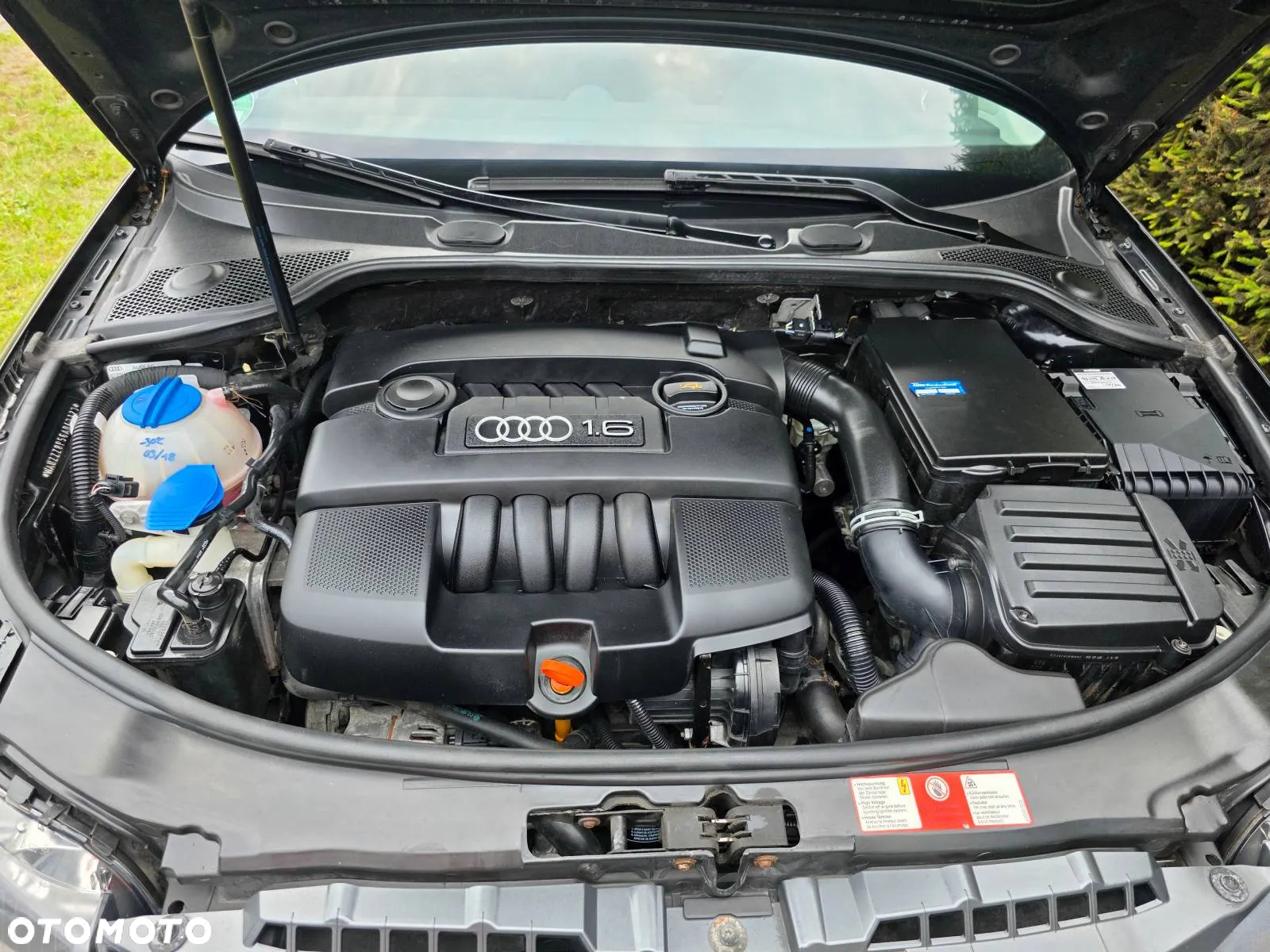 Audi A3 1.6 Limited Edition - 10